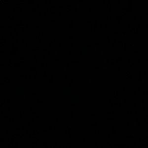 Meet your Posher, Daniela